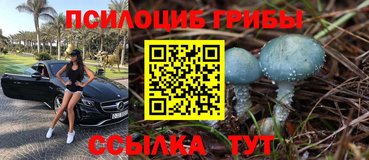 Псилоцибиновые грибы ЛСД  Галлюциногенные грибы прущие грибы  Волжск  Вход с VPN 