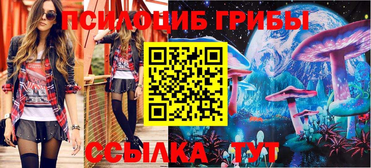 Галлюциногенные грибы мицелий Волжск